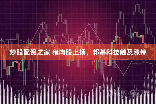 炒股配资之家 猪肉股上扬，邦基科技触及涨停