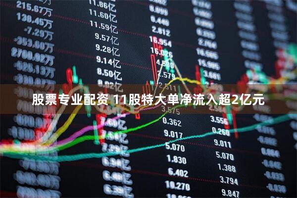 股票专业配资 11股特大单净流入超2亿元